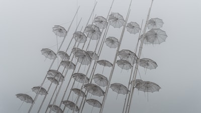 阴天下的白色雨伞照片
